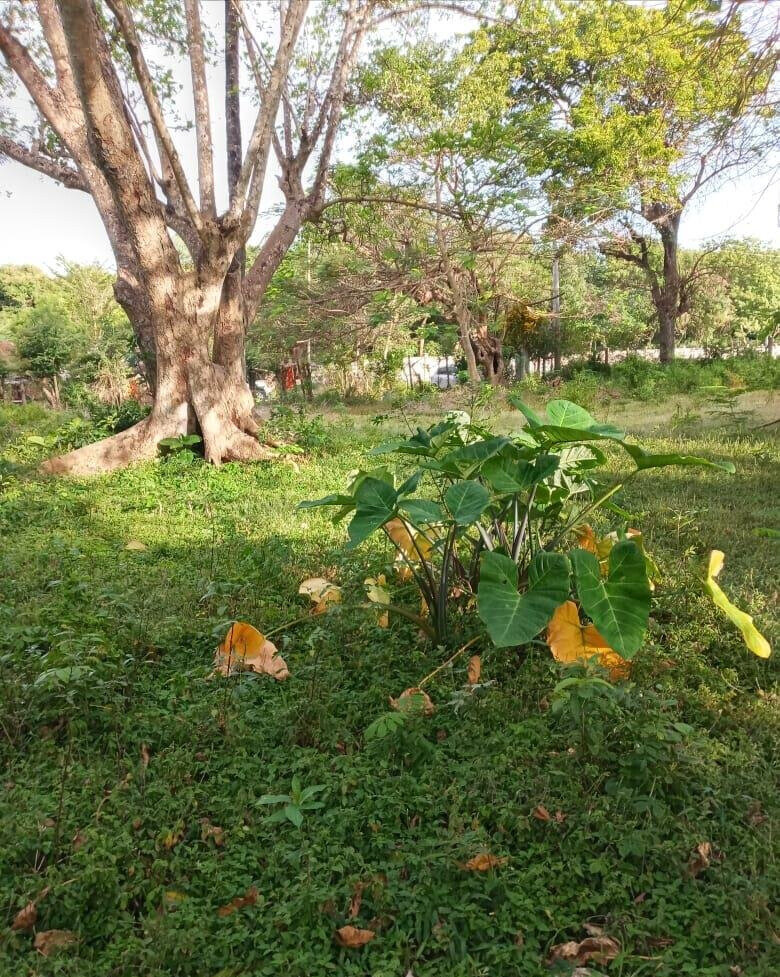 Beachside Gem for KSh 5.8M