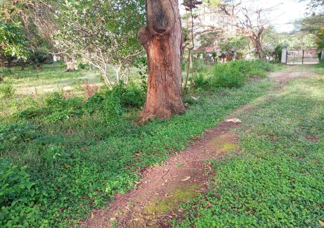 Beachside Gem for KSh 5.8M
