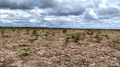 20 Arca Piece of Land in Tuala, Ongata Rongai - Image 7
