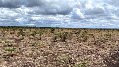 20 Arca Piece of Land in Tuala, Ongata Rongai - Image 6