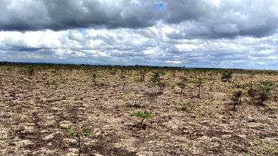 20 Arca Piece of Land in Tuala, Ongata Rongai - Image 10