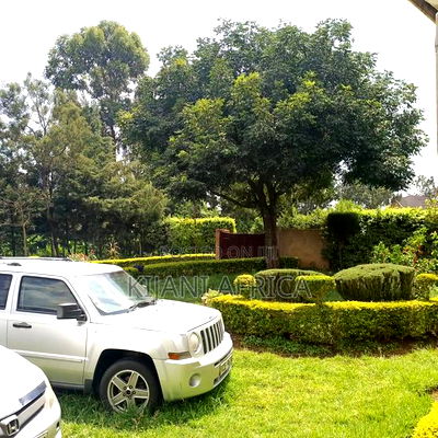 1/2 an Acre Land in Ngeria Block 1 Estate - Image 3