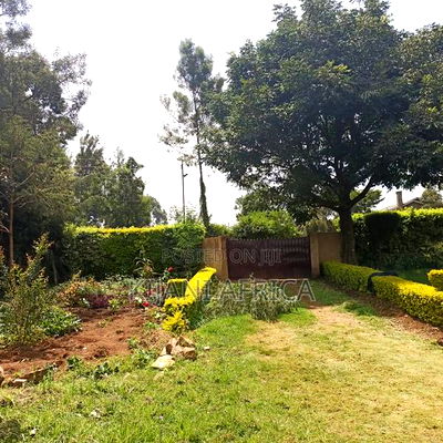 1/2 an Acre Land in Ngeria Block 1 Estate - Image 4