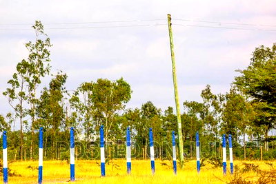 Affordable Plots in Koma - Image 8