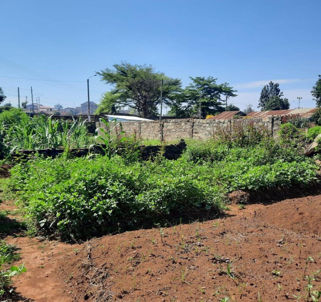 KSh 8M Quarter Acre Plot