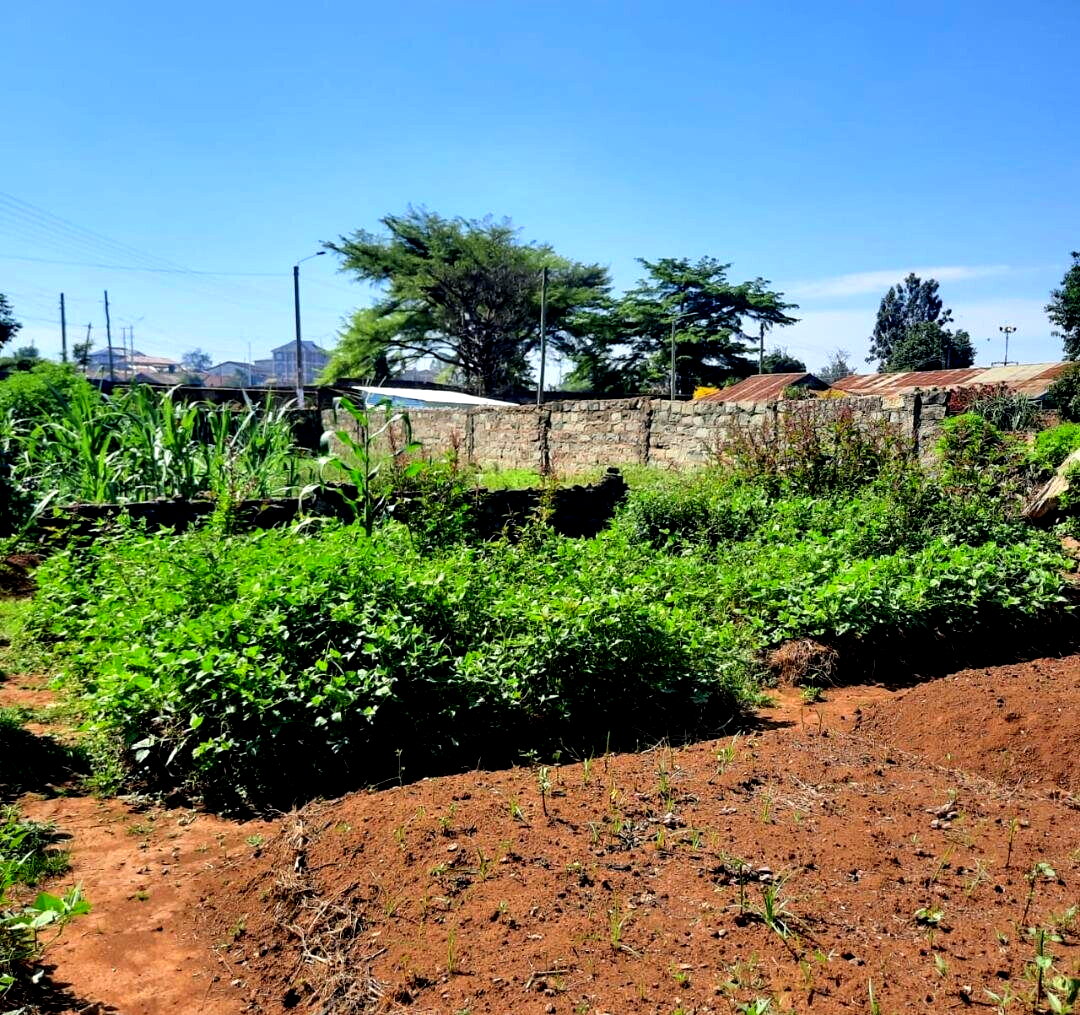 KSh 8M Quarter Acre Plot
