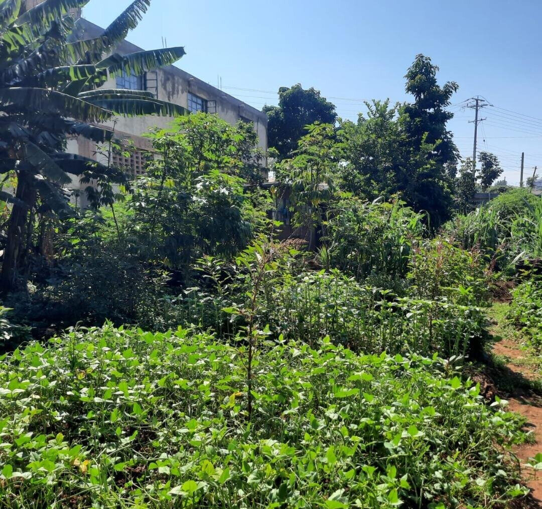 KSh 8M Quarter Acre Plot