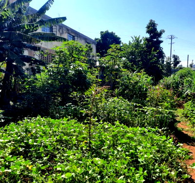 KSh 8M Quarter Acre Plot