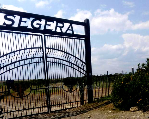 Nanyuki Cheap Land for Sale