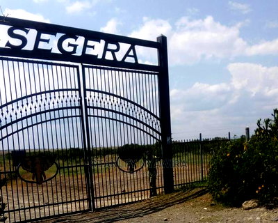 Nanyuki Cheap Land for Sale - Image 1