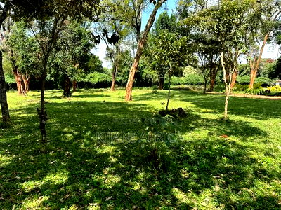 Quarter Acres Plots Along Kenyatta Road in a Gated Setup - Image 10
