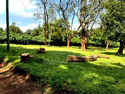 Quarter Acres Plots Along Kenyatta Road in a Gated Setup - Image 8
