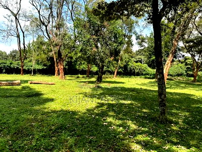 Quarter Acres Plots Along Kenyatta Road in a Gated Setup - Image 9