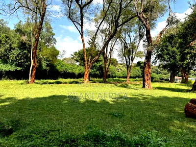 Quarter Acres Plots Along Kenyatta Road in a Gated Setup - Image 3