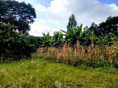 Redsoil Quarter Acre Plot Near Saitoti's Place, Kahara Rd - Image 2