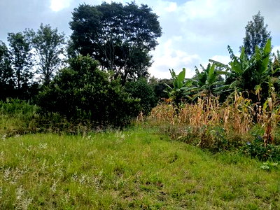 Redsoil Quarter Acre Plot Near Saitoti's Place, Kahara Rd - Image 3