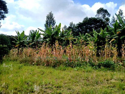 Redsoil Quarter Acre Plot Near Saitoti's Place, Kahara Rd - Image 1