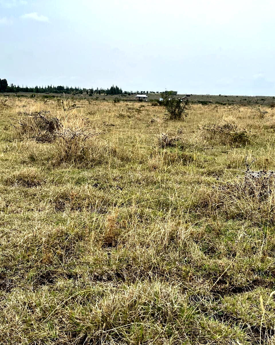 1-Acre Plot for KSh 4M