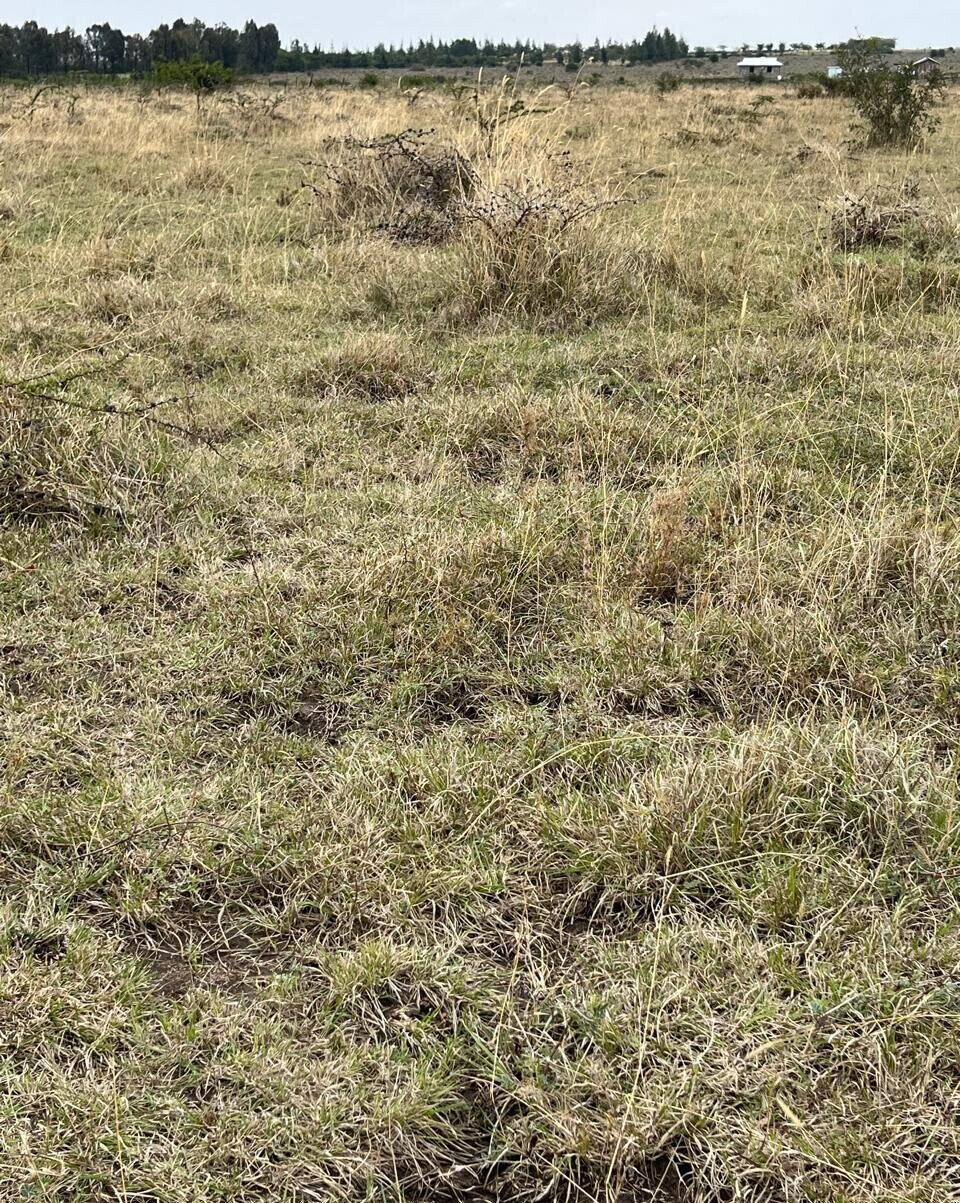 1-Acre Plot for KSh 4M
