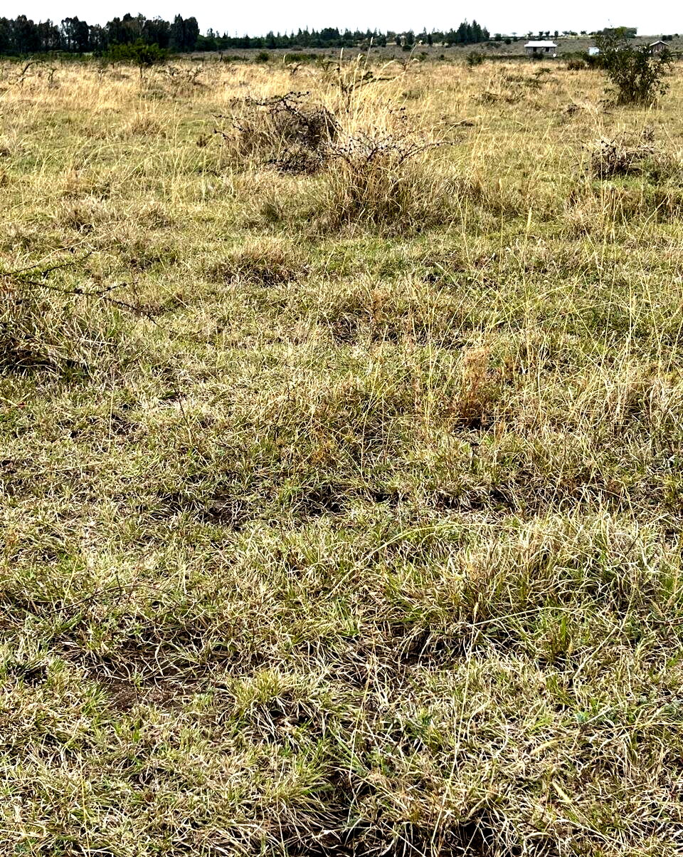 1-Acre Plot for KSh 4M