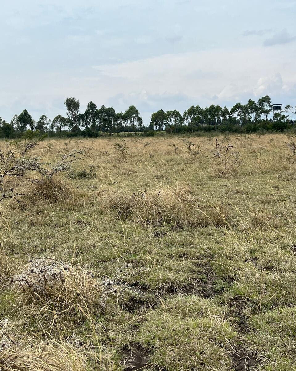 1-Acre Plot for KSh 4M