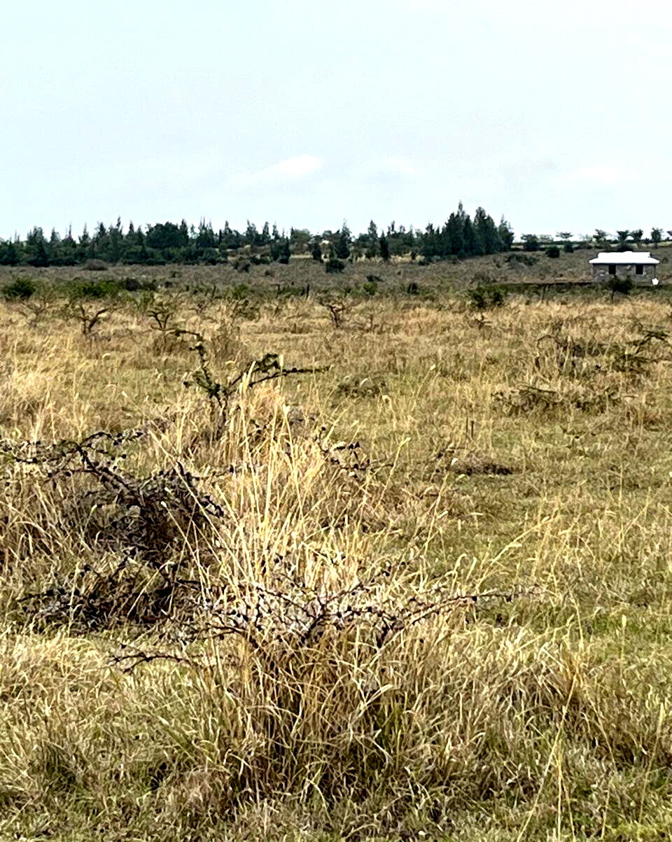 1-Acre Plot for KSh 4M