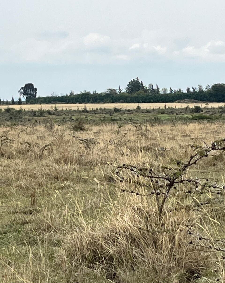 1-Acre Plot for KSh 4M