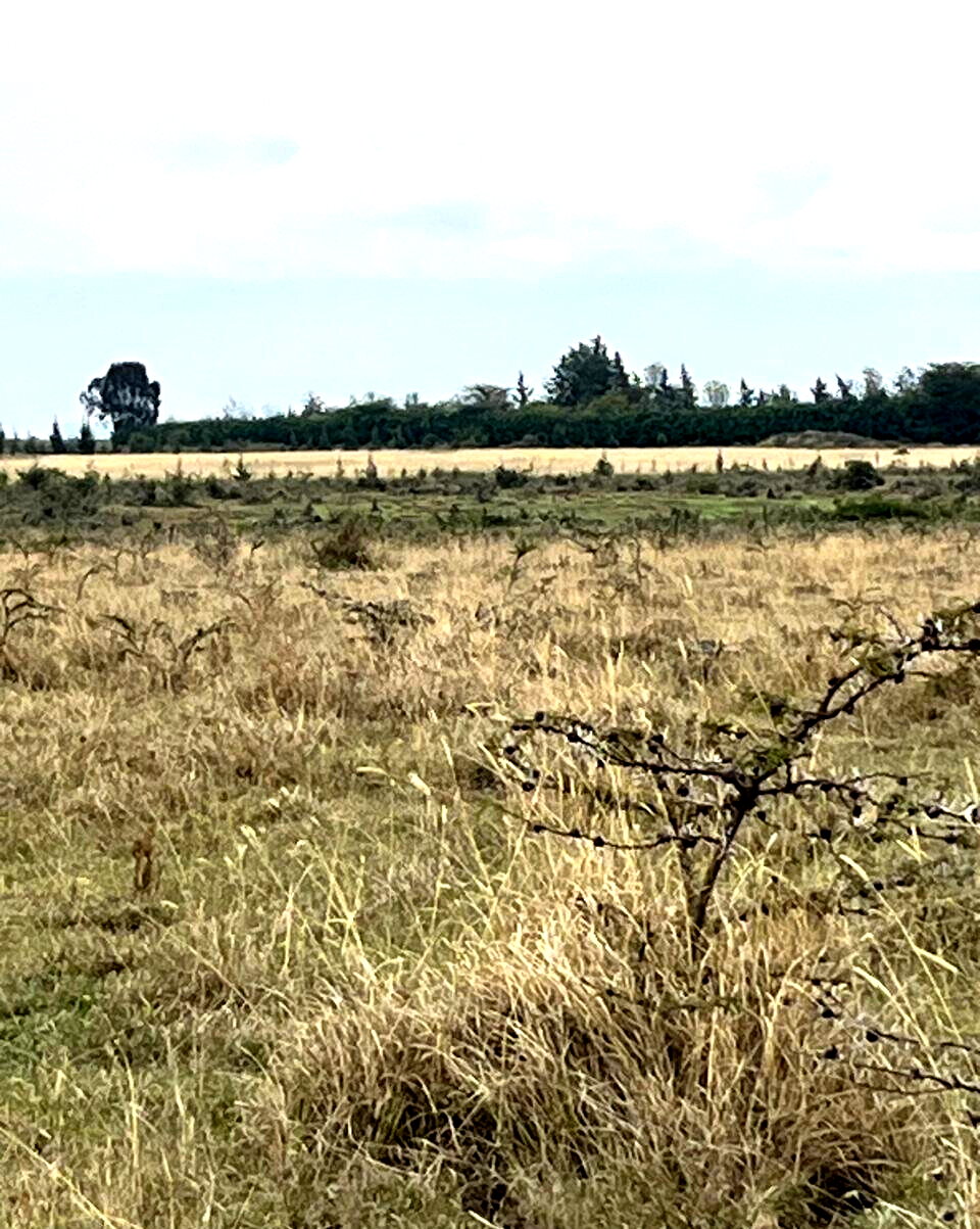 1-Acre Plot for KSh 4M
