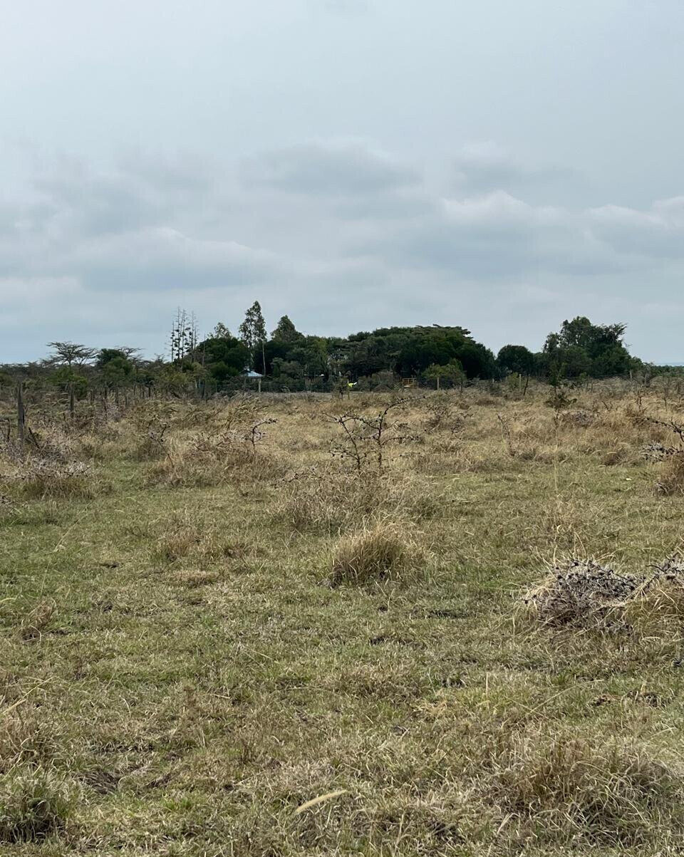 1-Acre Plot for KSh 4M