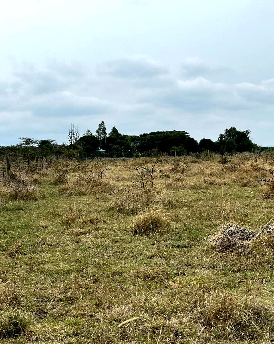 1-Acre Plot for KSh 4M