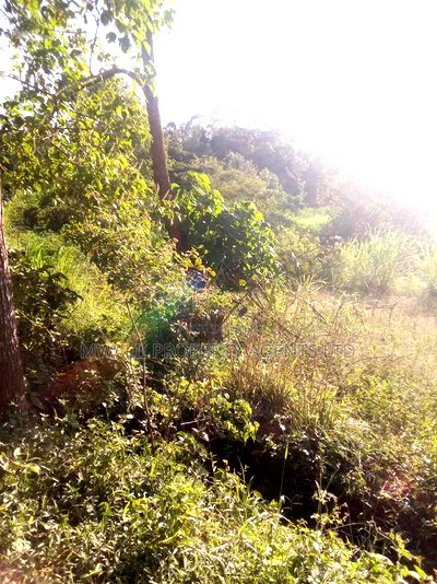 1.5acre ,Mulango, Kitui - Image 1