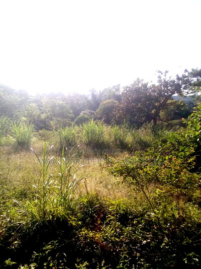1.5acre ,Mulango, Kitui - Image 2