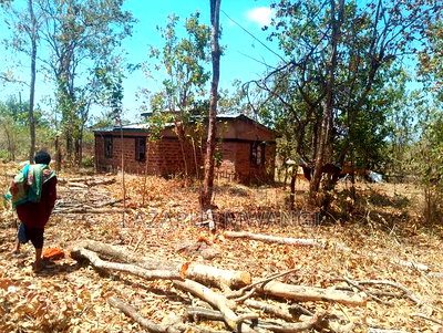 2 Acres of Land at Embu Kangeta Area 20km From Mwea - Image 7