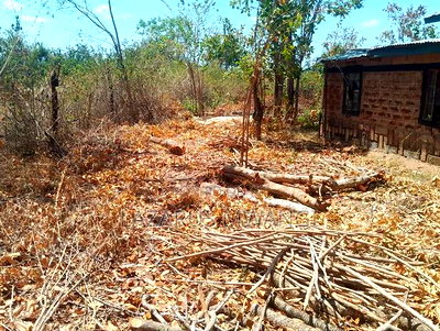 2 Acres of Land at Embu Kangeta Area 20km From Mwea - Image 3