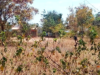 2 Acres of Land at Embu Kangeta Area 20km From Mwea - Image 5