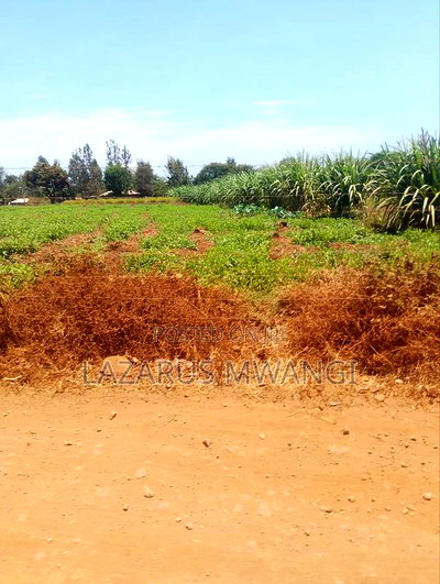 2 Acres of Land at Embu Kangeta Area 20km From Mwea - Image 18
