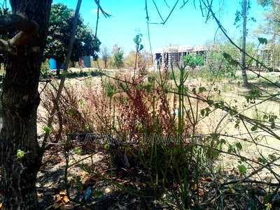 2 Acres of Land at Embu Kangeta Area 20km From Mwea - Image 9