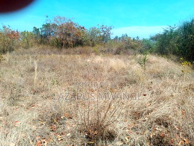 2 Acres of Land at Embu Kangeta Area 20km From Mwea - Image 6