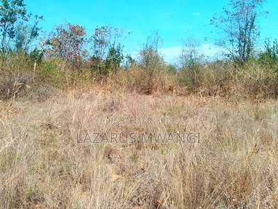 2 Acres of Land at Embu Kangeta Area 20km From Mwea - Image 11