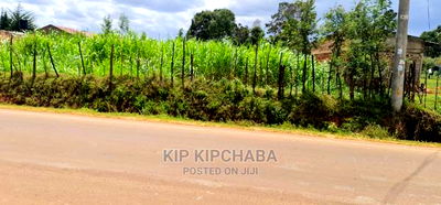 Commercial Plot Touching Tarmac Annex Eldoret - Image 3
