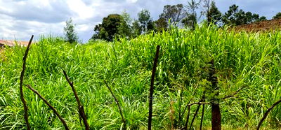 Commercial Plot Touching Tarmac Annex Eldoret - Image 1