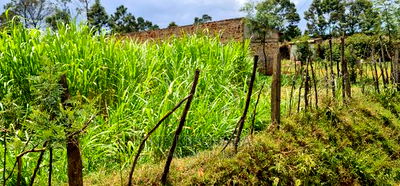Commercial Plot Touching Tarmac Annex Eldoret - Image 7