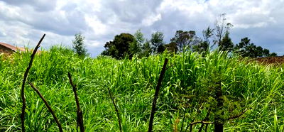 Commercial Plot Touching Tarmac Annex Eldoret - Image 4