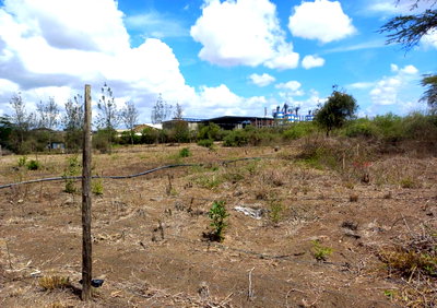 1-Acre Commercial Land in Mutungoni