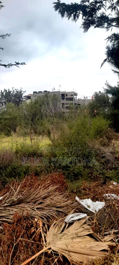 On Sale 40*80 at Empire Gardens Utawala - Image 9