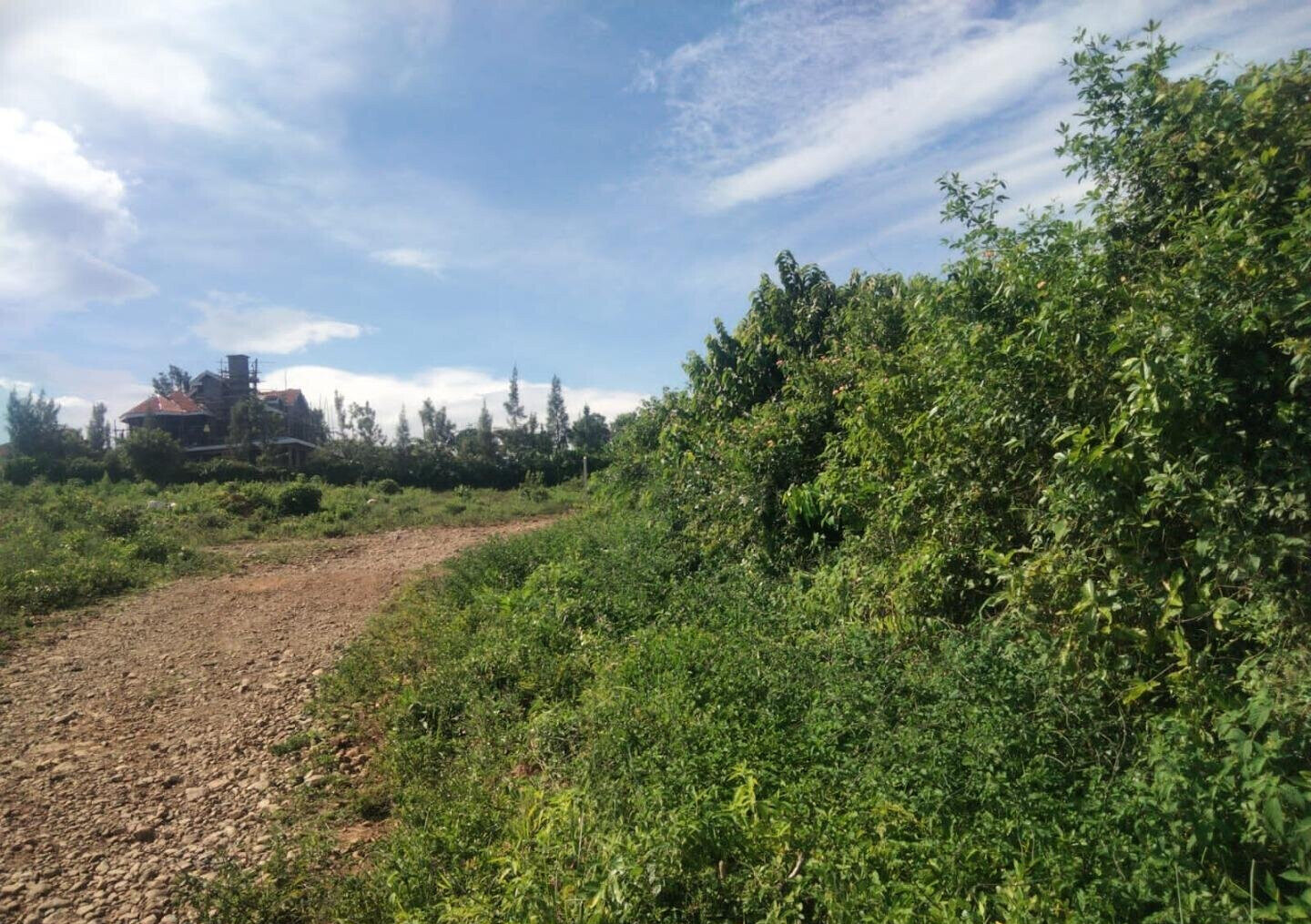 2-Acre RIAT Hills Land with Scenic Views