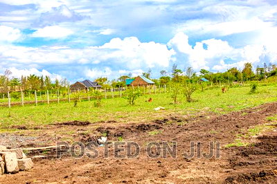 Juja Farm Plots Only 400M Off the Main Road - Image 2