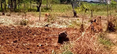 Plot for Sale at Thika Kiahuria - Image 5