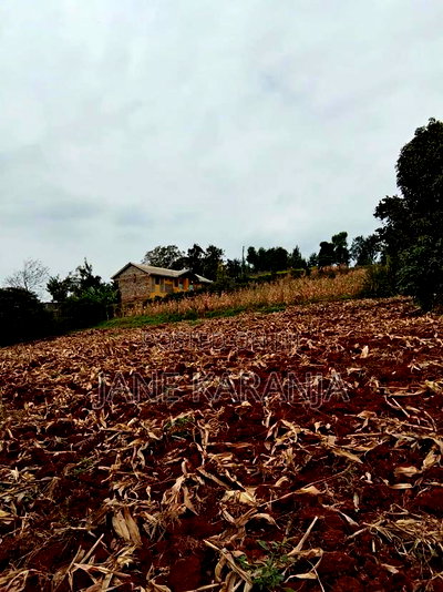Prime Plot in Kasarani - Image 2