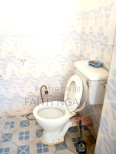 2bdrm Apartment in Mtambo for rent - Image 4